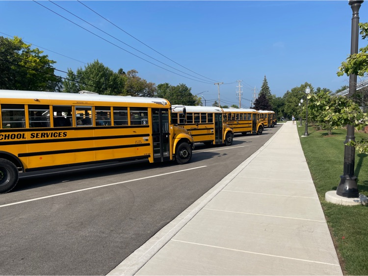 buses