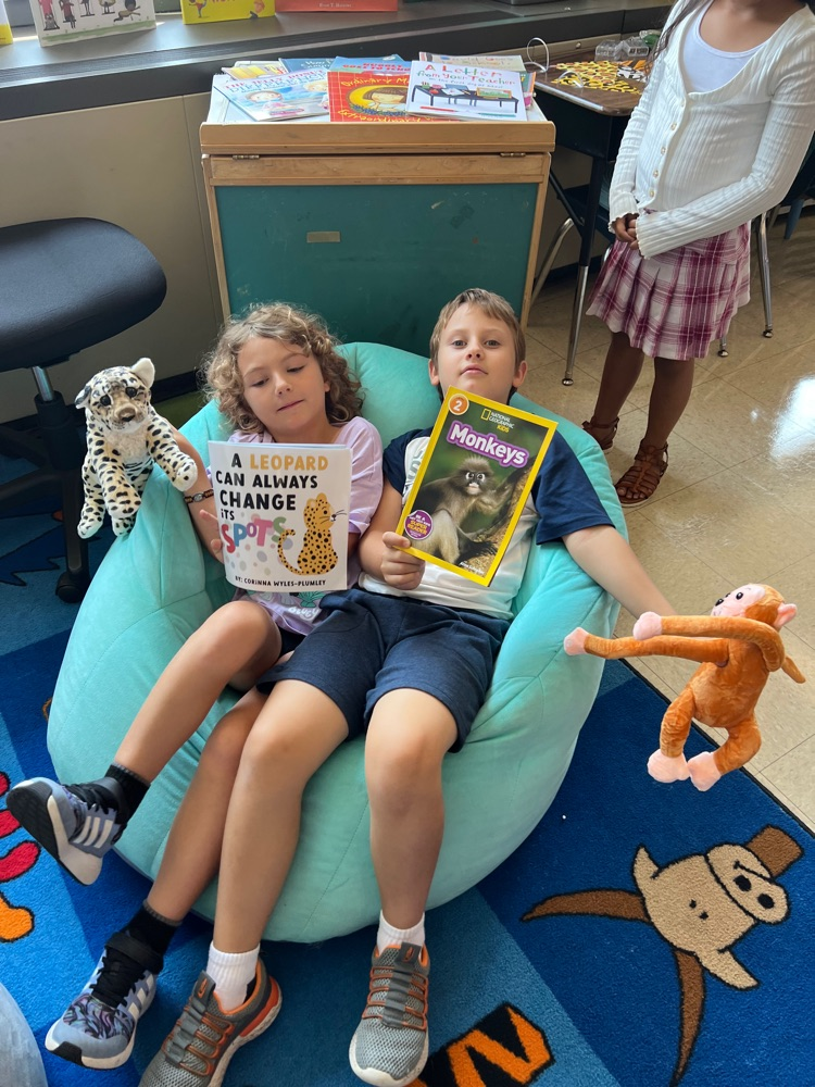reading